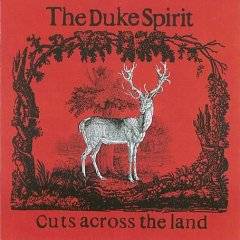 Duke Spirit : Cuts Across the Land